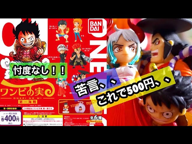 即完売 ワンピの実 を回してきたら衝撃的だった Youtube