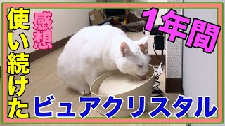 猫の自動給水機ビュアクリスタルの1年レビュー！☆Impressions of using the cat's automatic water dispenser for a year!