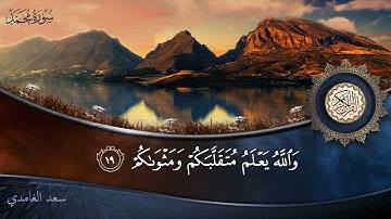 سورة محمد - جودة عالية - القارئ الشيخ سعد الغامدي