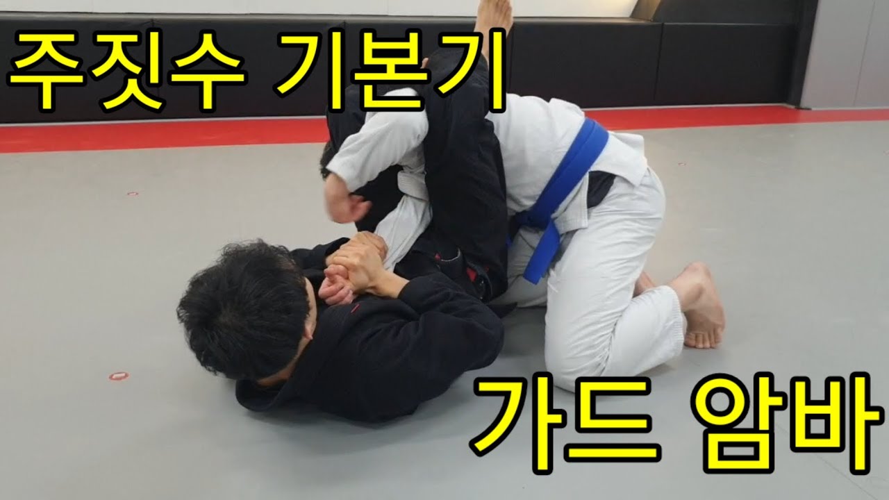 [주짓수기본기]가드 암바 Armbar from Guard YouTube