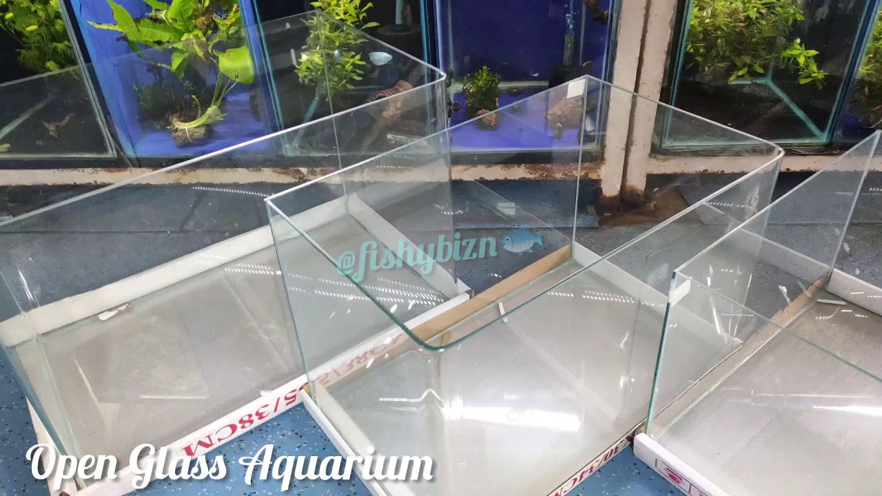 Curved Shape Glass Tank