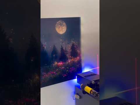 Video thumbnail: A forest on a wall