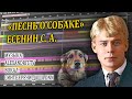 «Песнь о собаке» / Есенин С. А. / Alexandrit.tv