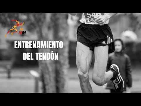 Vídeo: Com Entrenar Tendons