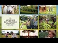 Must watch sustainable agriculture and homesteading documentaries