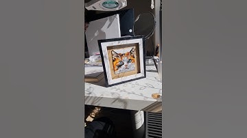 how to display your beaded tapestry #peyotestitch #displayart #coasterart #tapestry #catlovers