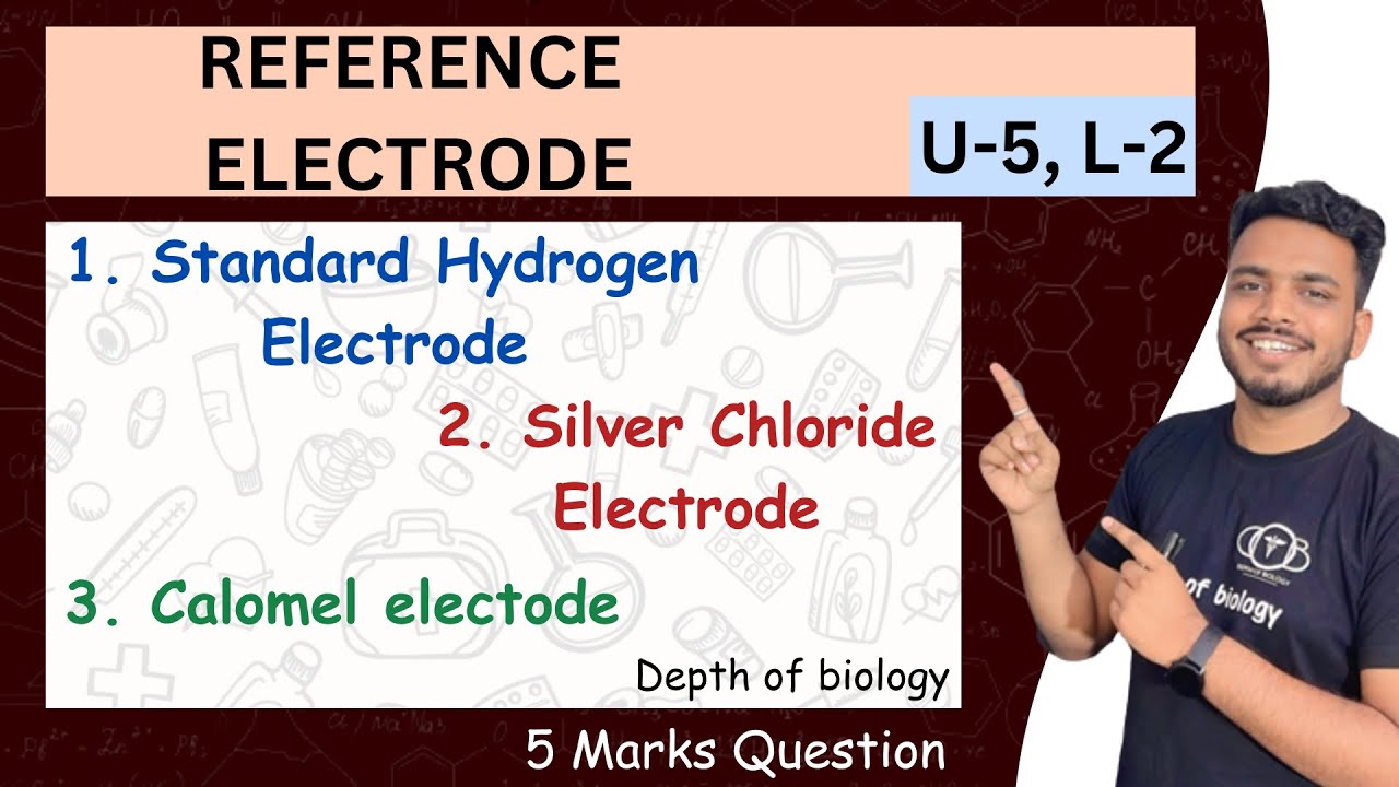 Reference Electrode Standard hydrogen electrode silver chloride electrode calomel
