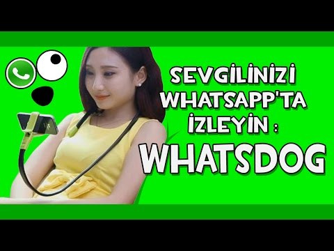 Sevgilinizi Whatsapp'ta İzleyin: WhatsDog