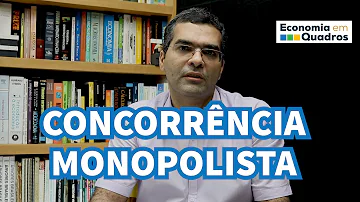 Como funciona o mercado monopolista?