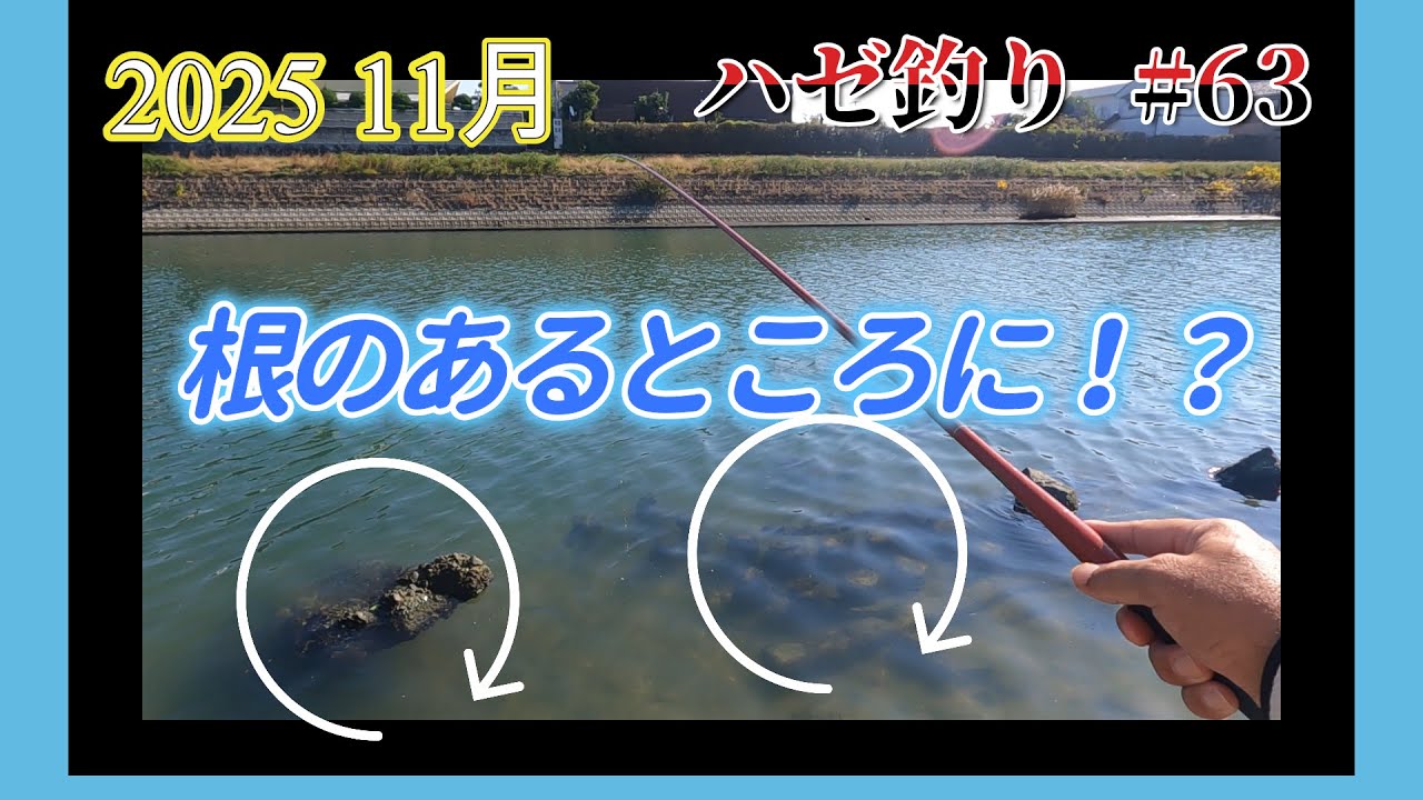2025年【ハゼ釣り#63 】11月14日‗まだまだイケる！？浅場を短竿で釣っ