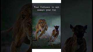 Stop Seeking Validation | Know Your Worth | Motivational Quote