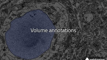 webKnossos - Volume annotations