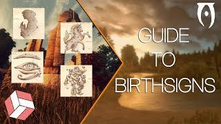 Oblivion - Leveling Guide; Birthsigns Explained. (2018 Education) screenshot 4