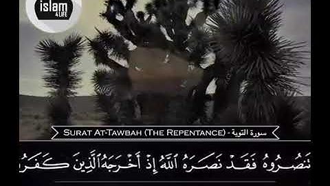 اجمل حالات واتس اب قران بصوت محمد النقيب إلا تنصروه فقد نصره الله//حالات واتس اب دبنية تلاوة خاشعة