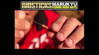 Download Lagu BIOSTICKS MARUKYU MP3