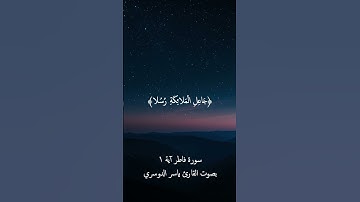 سورة فاطر آية 1 بصوت القارئ ياسر الدوسري