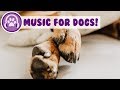 The Ultimate Dog Relaxation Music! Anxiety and Sleep Music for Dogs!