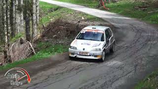 Rallye du beaufortain 2024 Vincenzi & Dussolliet-Berrhod106 f212