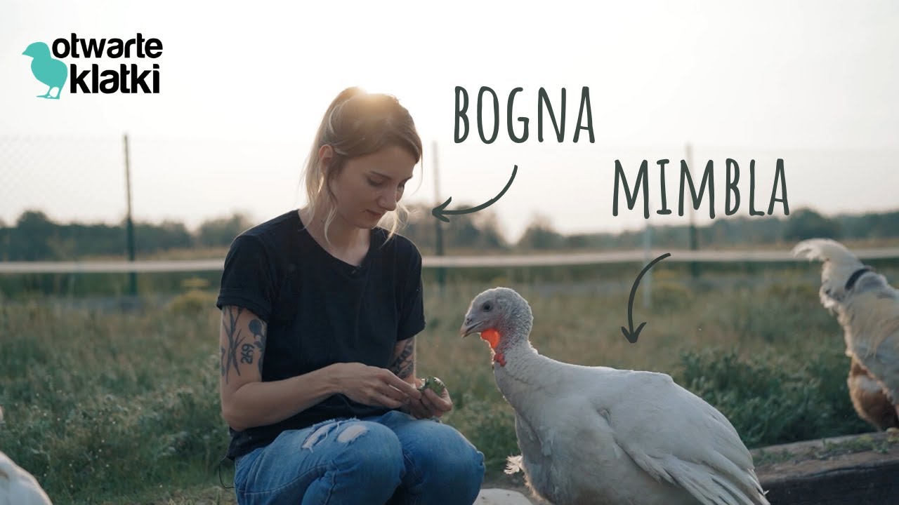 Poznaj historię azylu Psubraty - miejsca dla zwierząt uratowanych z ferm 🦊 🐥 🦃