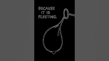 The Science Behind Soap Bubbles Will Shock You 🫧 #natureexplained #shorts #science