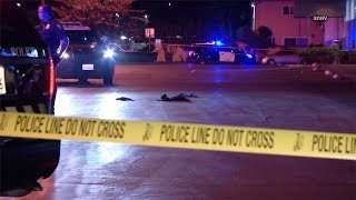 Police Investigating Fatal Shooting Of Woman In Grocery Parking Lot | San Diego Union-Tribune