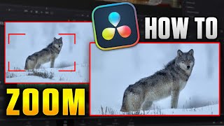 How to Zoom In/Out in DaVinci Resolve