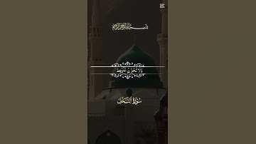 سورة النحل ،، اترك اثراً تؤجر عليه #اكسبلور #القزابري #دويتو #المصحف #الرحمن #حالات_واتس