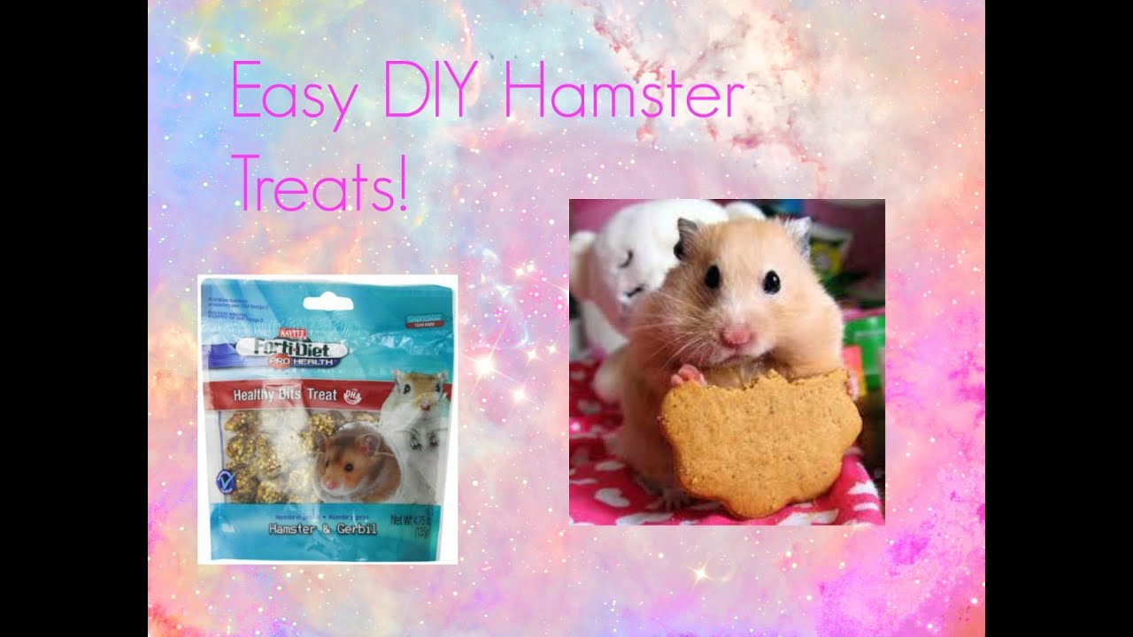 Easy DIY Hamster Treats YouTube