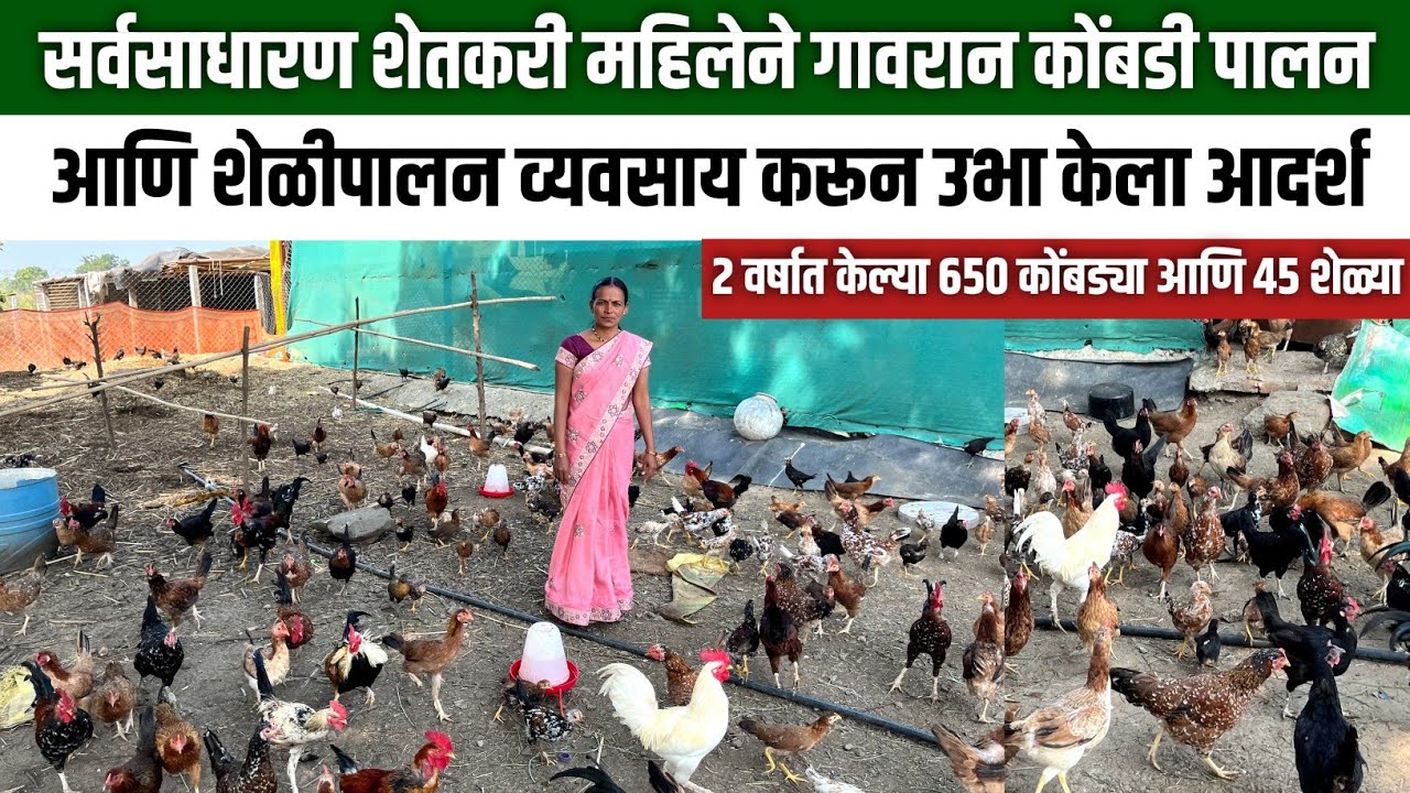 शेतकरी महिलेचा यशस्वी गावरान कोंबडी पालन आणि शेळीपालन व्यवसाय | Gavran kombdi palan and sheli palan