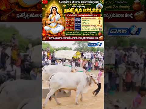 నర్రవాడలో ఘనంగా వెంగమాంబ అమ్మవారి బ్రహ్మోత్సవాలు | పూర్తి షెడ్యూల్