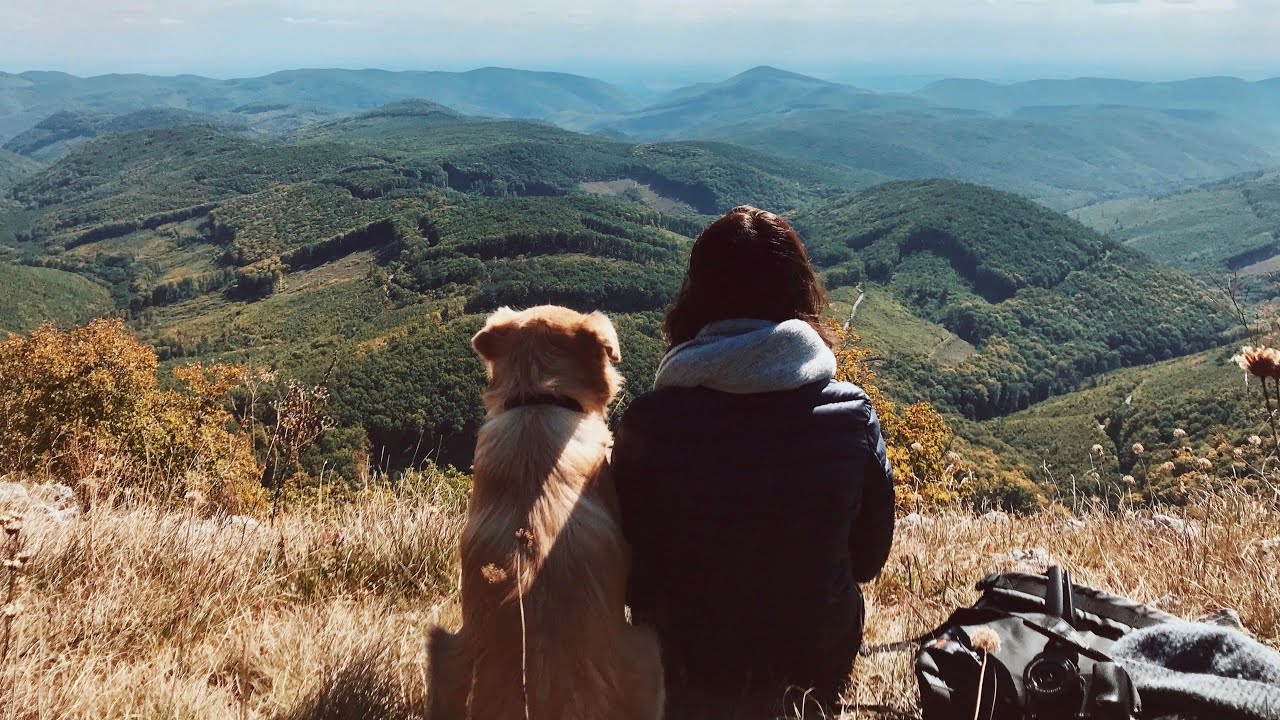 Bükkben kirándulós kérdezz-felelek