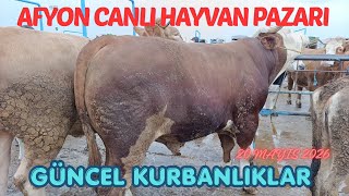 AFYON ÇAYIRBAĞ CANLI HAYVAN PAZARI 20 MAYIS 2026 GÜNCEL KURBANLIK FİYATLARI
