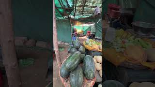Madhya pradesh Trip vlog : 3 #minivlog #vlog #tulsichauhan #dailyvlog #shorts