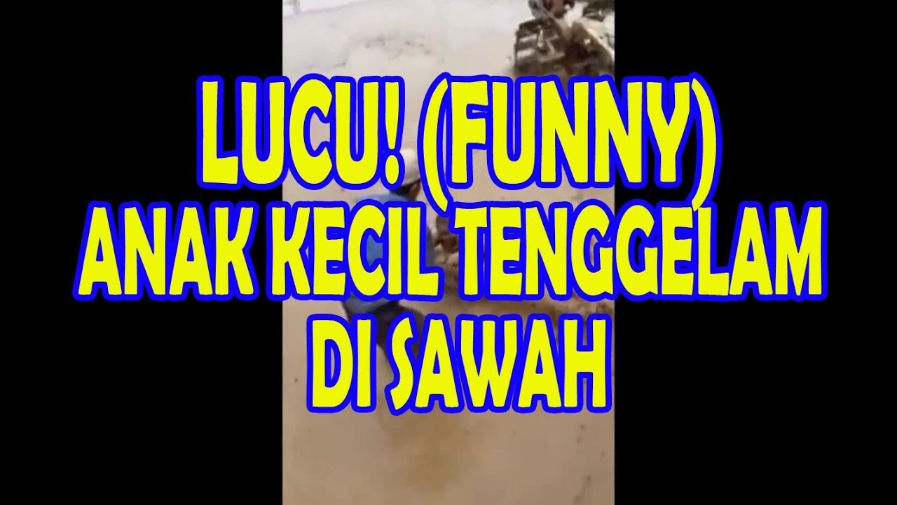 ANAK KECIL LUCU TENGGELAM DI SAWAH BAPAKNYA MALAH KETAWA YouTube