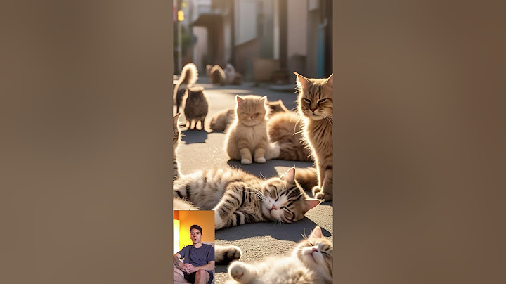 Una isla dominada por gatos! 😺🏝️ Más felinos que humanos 😱 #datoscuriosos