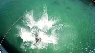 Zero Gravity - Trailer