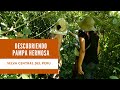 DESCUBRIENDO PAMPA HERMOSA  SATIPO JUNIN PERÚ  ➡ PAMPA HERMOSA SELVA CENTRAL DEL PERÚ TURISMO