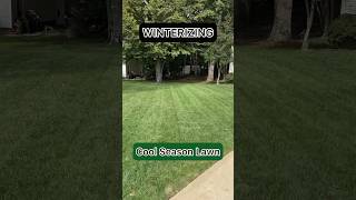 Winter Lawn Steps | Nitrogen Dump shorts lawn