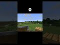 Minecraft is wild 💀