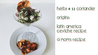 Herbs # 11 Coriander - Origins: Latin America&#39;s ceviche, a mom&#39;s recipe