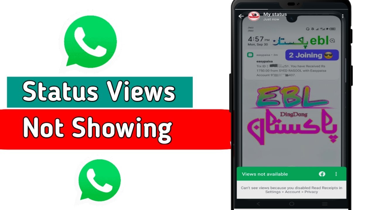 How to solve Whatsapp status views not showing problem - YouTube