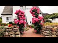 🌺Прекрасные идеи дизайна для садовых участков / Landscaping Ideas for Garden Plots / A - Video