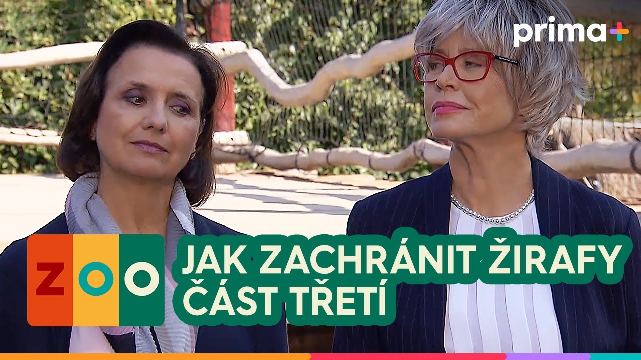ZOO (8): Jak zachránit žirafy – část 3/3