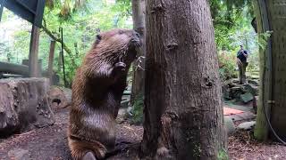 Beaver Branch Manager Gets The Job Done