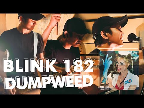 BLINK 182 - DUMPWEED (COVER)