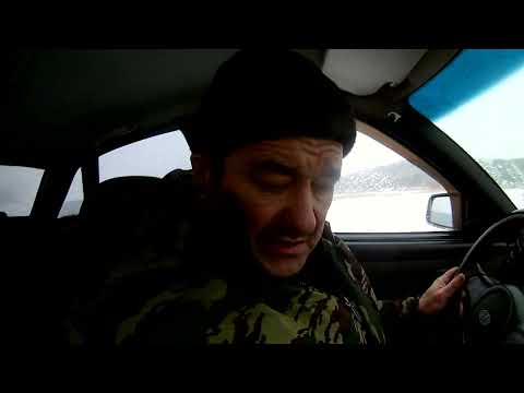 Видео: Поездка за шашечками