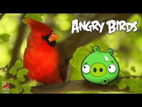 Angry Birds Theme