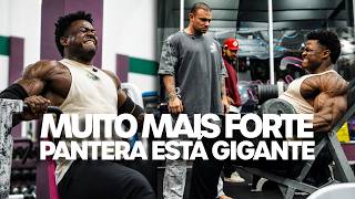 MUITO MAIS FORTE - PANTERA ESTÁ FICANDO GIGANTE