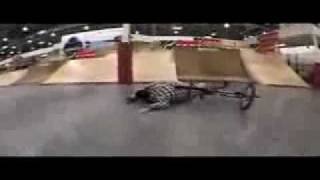 jackass FATSUIT skating and bmx