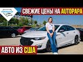 Какие цены на авто в Грузии. Обзор цен на авторынке Autopapa.